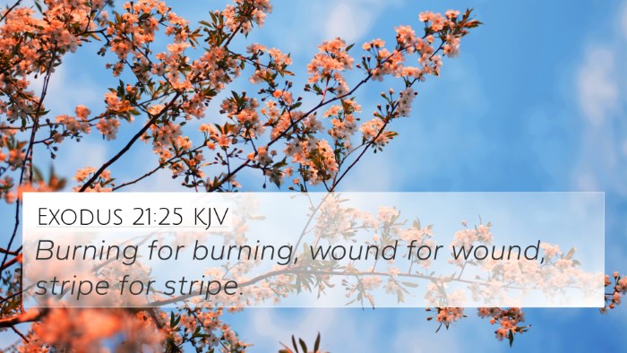 Exodus 21:25 KJV 4K Wallpaper - Burning for burning, wound for wound, stripe for - 4K Wallpaper Bible Verse