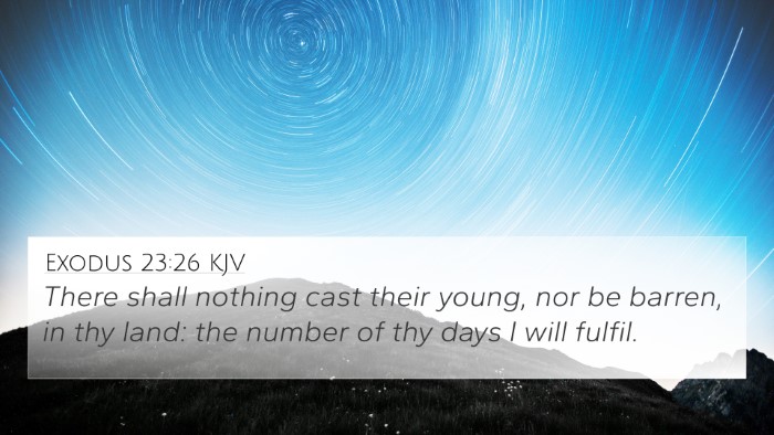 Exodus 23:26 KJV Bible Verse Image