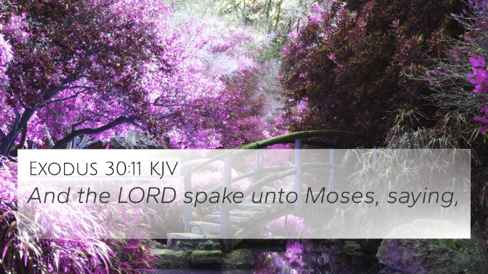 Exodus 30:11 KJV Bible Verse Image