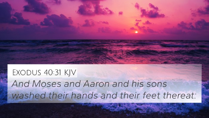Exodus 40:31 KJV 4K Wallpaper - And Moses and Aaron and his sons washed their - 4K Wallpaper Bible Verse
