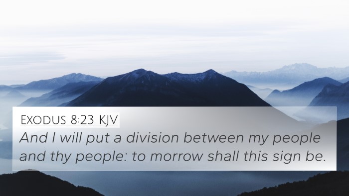 Exodus 8:23 KJV Bible Verse Image