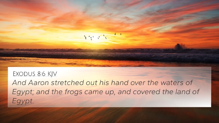 Exodus 8:6 KJV 4K Wallpaper - And Aaron stretched out his hand over the waters - 4K Wallpaper Bible Verse