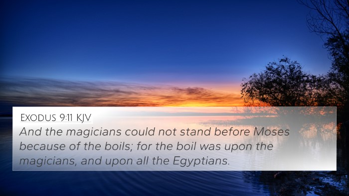 Exodus 9:11 KJV Bible Verse Image