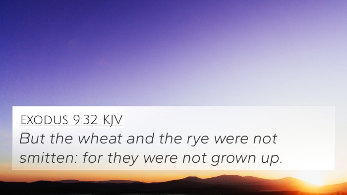 Exodus 9:32 KJV 4K Wallpaper - But the wheat and the rye were not smitten: for - 4K Wallpaper Bible Verse