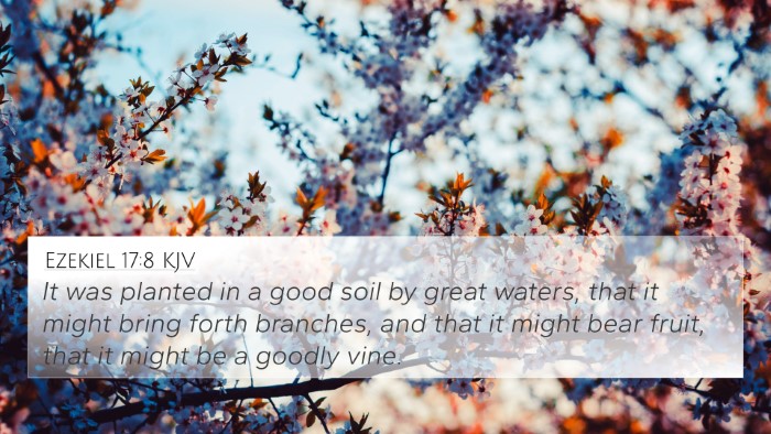 Ezekiel 17:8 KJV Bible Verse Image