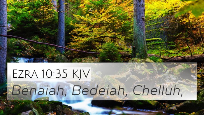 Ezra 10:35 KJV 4K Wallpaper - Benaiah, Bedeiah, - 4K Wallpaper Bible Verse