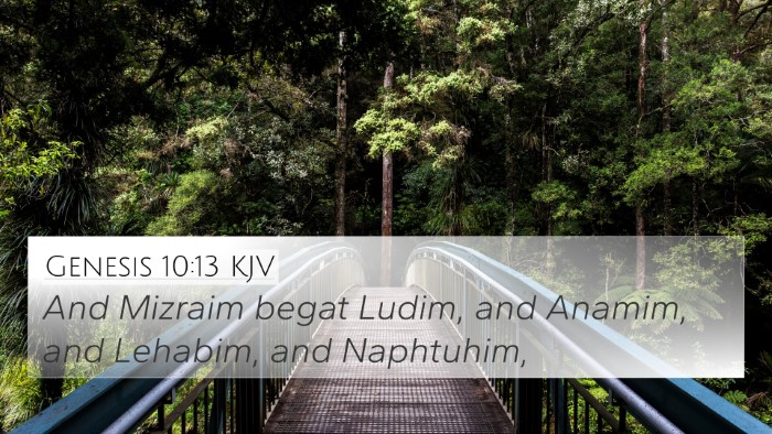 Genesis 10:13 KJV 4K Wallpaper - And Mizraim begat Ludim, and Anamim, and Lehabim, - 4K Wallpaper Bible Verse