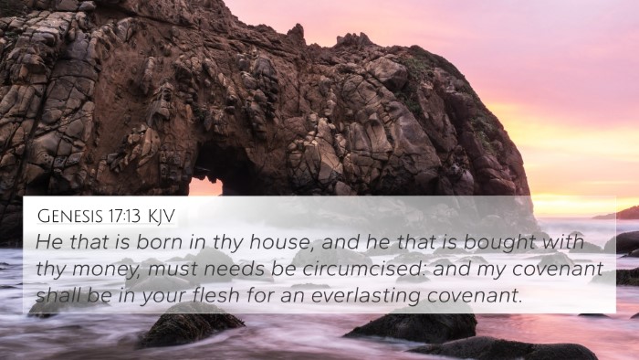 Genesis 17:13 KJV Bible Verse Image