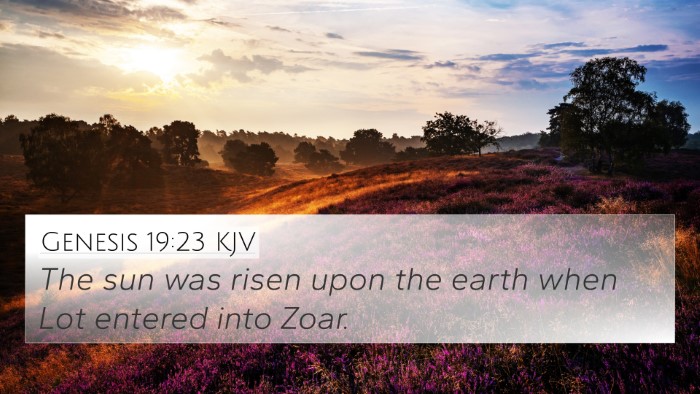 Genesis 19:23 KJV 4K Wallpaper - The sun was risen upon the earth when Lot entered - 4K Wallpaper Bible Verse