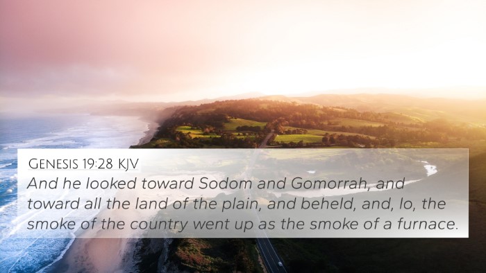 Genesis 19:28 KJV Bible Verse Image