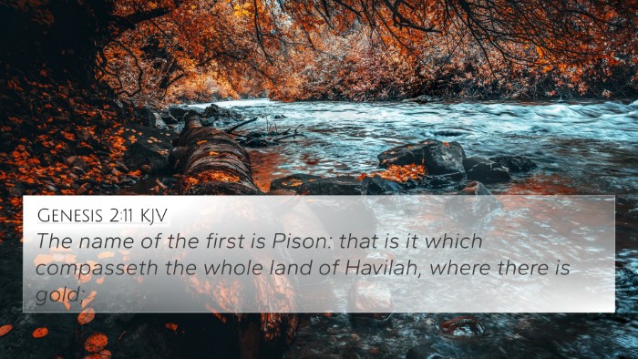 Genesis 2:11 KJV Bible Verse Image