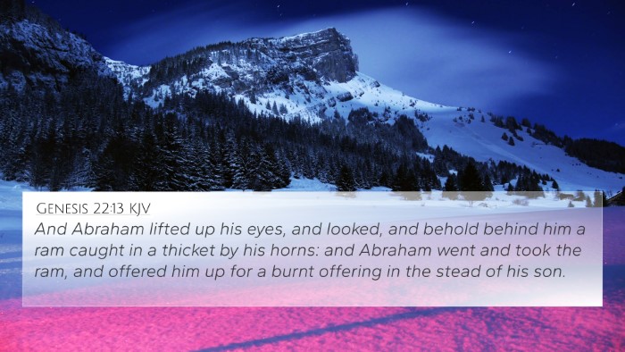 Genesis 22:13 KJV Bible Verse Image