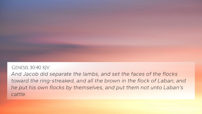 Genesis 30:40 KJV 4K Wallpaper - And Jacob did separate the lambs, and set the - 4K Wallpaper Bible Verse