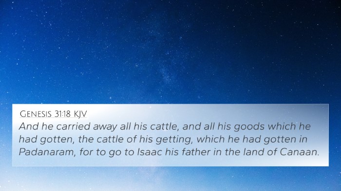 Genesis 31:18 KJV Bible Verse Image