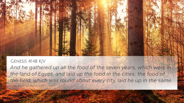 Genesis 41:48 KJV Bible Verse Image