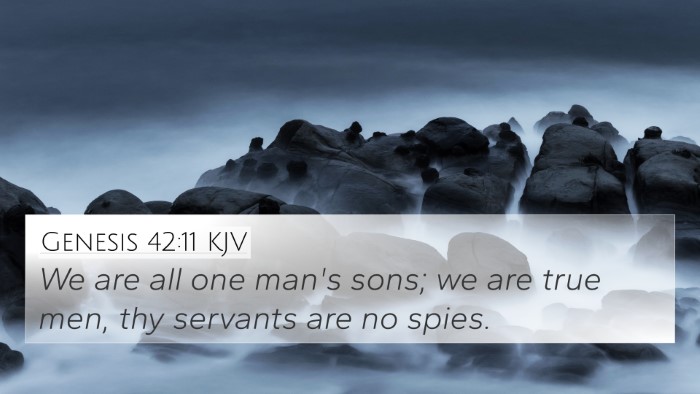 Genesis 42:11 KJV 4K Wallpaper - We are all one man's sons; we are true men, thy - 4K Wallpaper Bible Verse