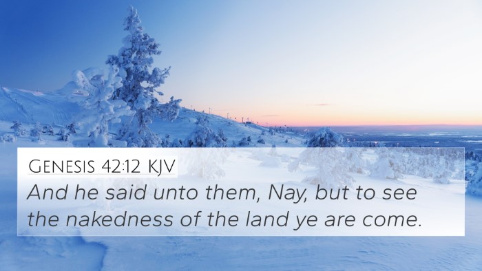 Genesis 42:12 KJV 4K Wallpaper - And he said unto them, Nay, but to see the - 4K Wallpaper Bible Verse