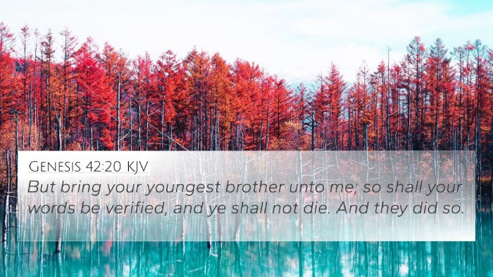 Genesis 42:20 KJV 4K Wallpaper - But bring your youngest brother unto me; so shall - 4K Wallpaper Bible Verse