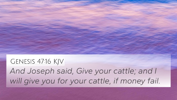 Genesis 47:16 KJV 4K Wallpaper - And Joseph said, Give your cattle; and I will - 4K Wallpaper Bible Verse