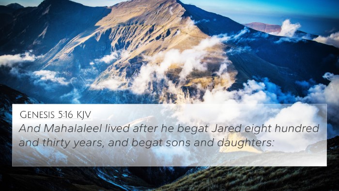 Genesis 5:16 KJV 4K Wallpaper - And Mahalaleel lived after he begat Jared eight - 4K Wallpaper Bible Verse