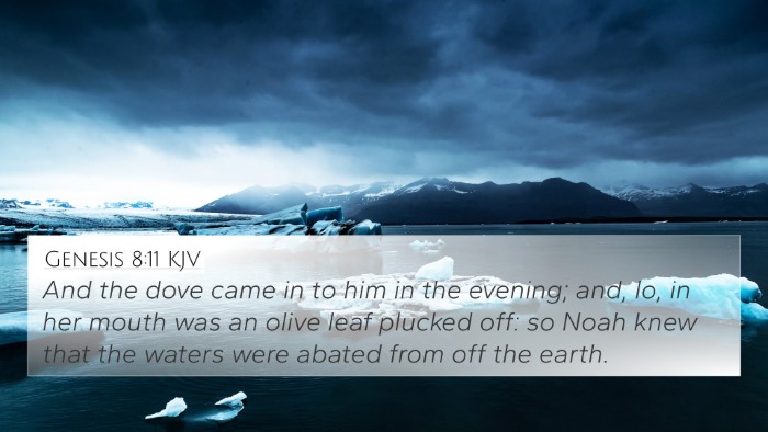 Genesis 8:11 KJV 4K Wallpaper - And the dove came in to him in the evening; and, - 4K Wallpaper Bible Verse