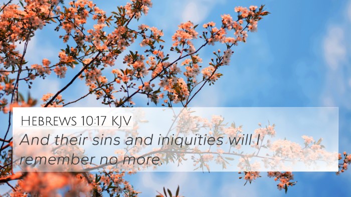 Hebrews 10:17 KJV Bible Verse Image