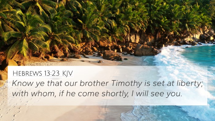 Hebrews 13:23 KJV Bible Verse Image