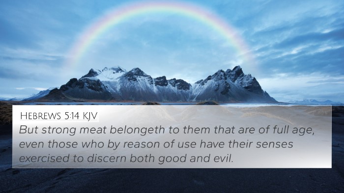 Hebrews 5:14 KJV Bible Verse Image