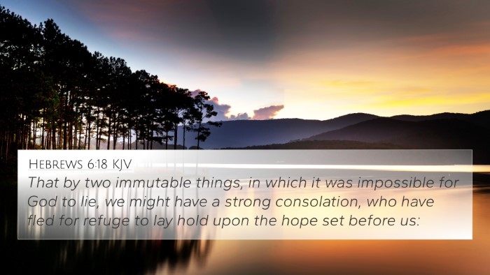 Hebrews 6:18 KJV Bible Verse Image
