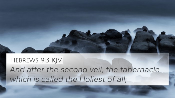 Hebrews 9:3 KJV Bible Verse Image