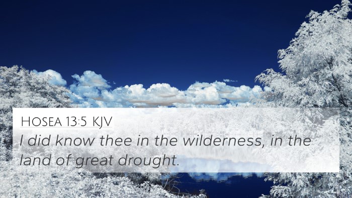 Hosea 13:5 KJV Bible Verse Image