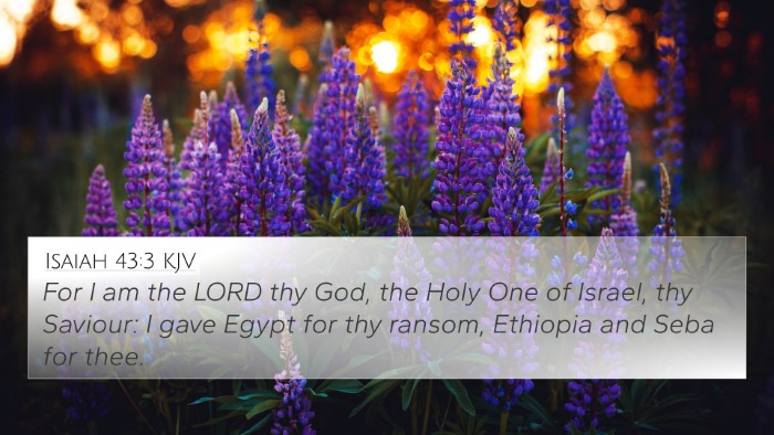 Isaiah 43:3 KJV Bible Verse Image