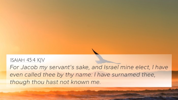 Isaiah 45:4 KJV Bible Verse Image