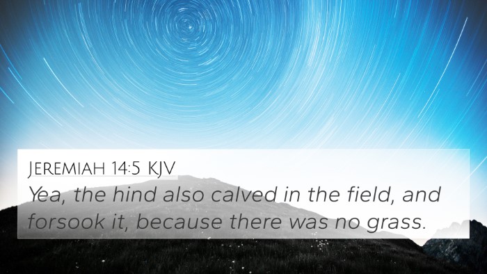 Jeremiah 14:5 KJV Bible Verse Image