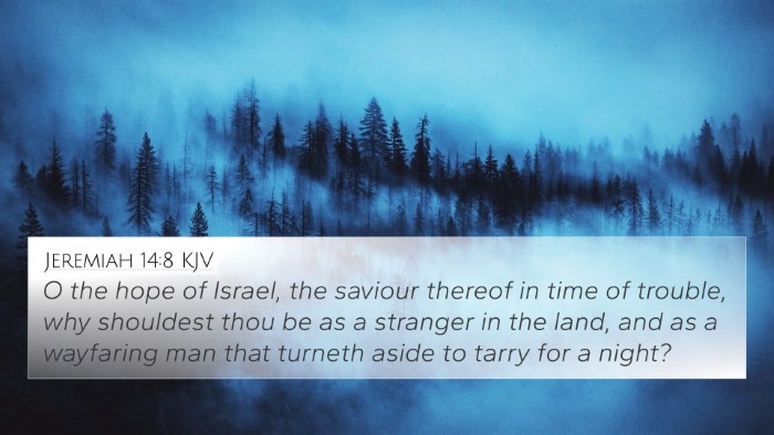 Jeremiah 14:8 KJV Bible Verse Image