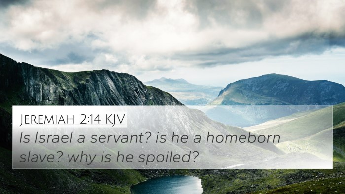 Jeremiah 2:14 KJV 4K Wallpaper - Is Israel a servant? is he a homeborn slave? why - 4K Wallpaper Bible Verse