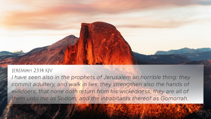 Jeremiah 23:14 KJV Bible Verse Image