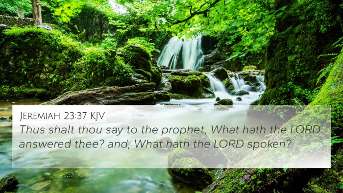 Jeremiah 23:37 KJV 4K Wallpaper - Thus shalt thou say to the prophet, What hath the - 4K Wallpaper Bible Verse