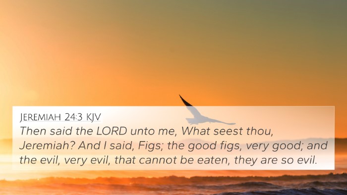 Jeremiah 24:3 KJV Bible Verse Image
