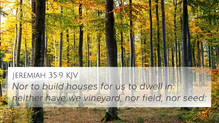 Jeremiah 35:9 KJV 4K Wallpaper - Nor to build houses for us to dwell in: neither - 4K Wallpaper Bible Verse