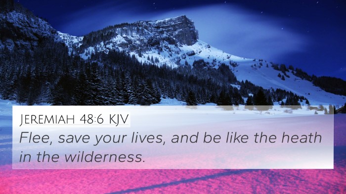 Jeremiah 48:6 KJV Bible Verse Image