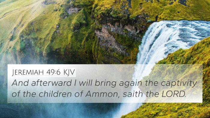 Jeremiah 49:6 KJV Bible Verse Image