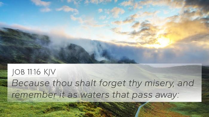 Job 11:16 KJV 4K Wallpaper - Because thou shalt forget thy misery, and - 4K Wallpaper Bible Verse