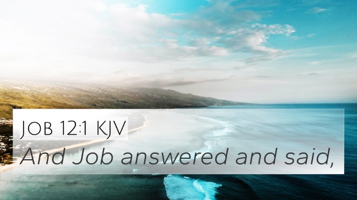 Job 12:1 KJV 4K Wallpaper - And Job answered and - 4K Wallpaper Bible Verse
