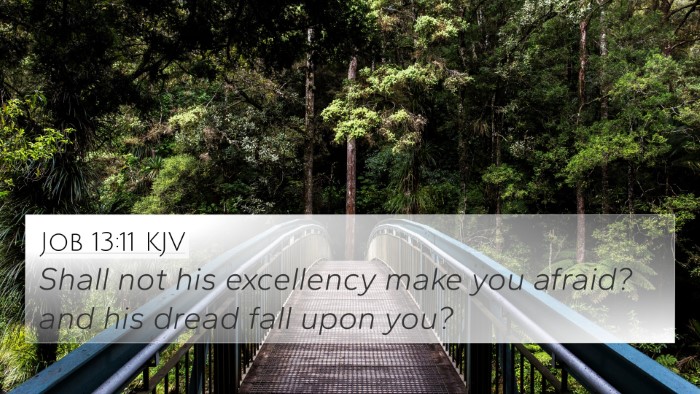 Job 13:11 KJV 4K Wallpaper - Shall not his excellency make you afraid? and his - 4K Wallpaper Bible Verse