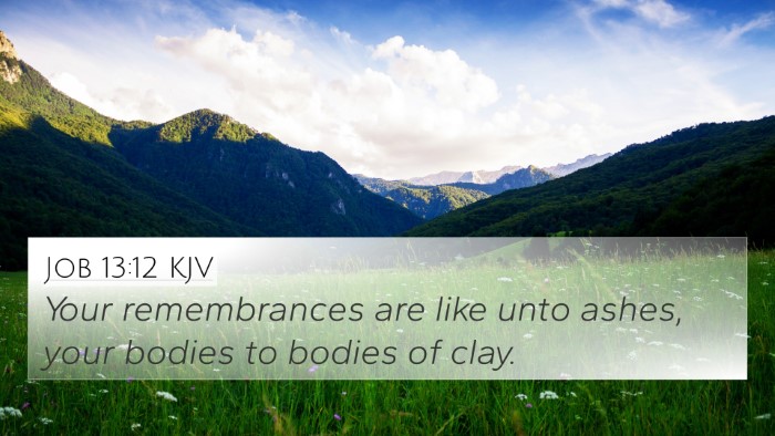Job 13:12 KJV Bible Verse Image