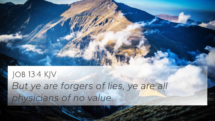 Job 13:4 KJV Bible Verse Image