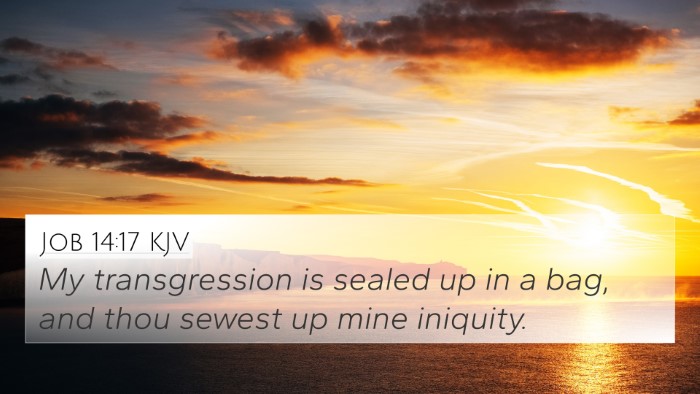 Job 14:17 KJV Bible Verse Image