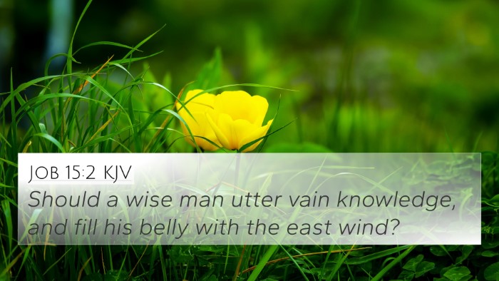 Job 15:2 KJV Bible Verse Image