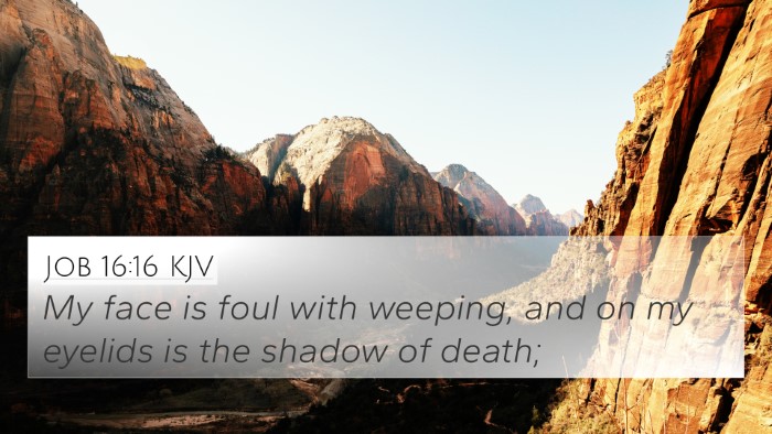 Job 16:16 KJV Bible Verse Image